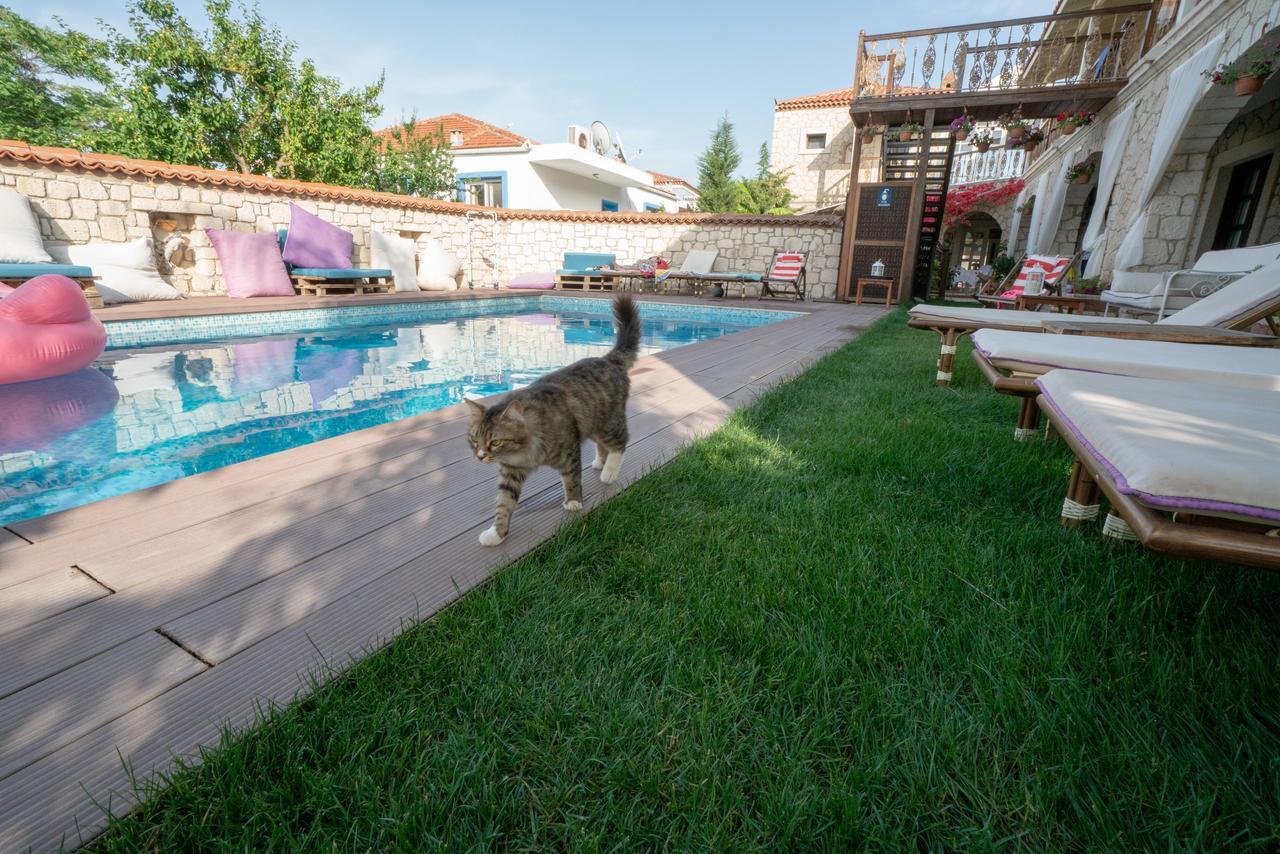 Nobela Alaçatı